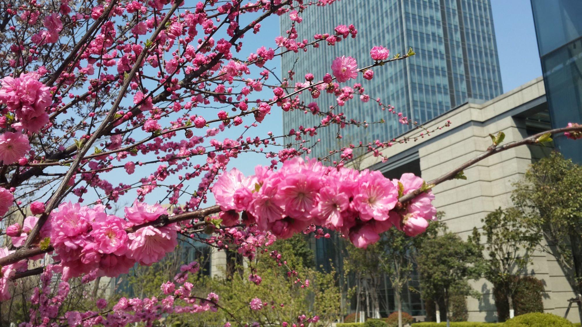 Sheraton Qingdao Jiaozhou Hotel Luaran gambar